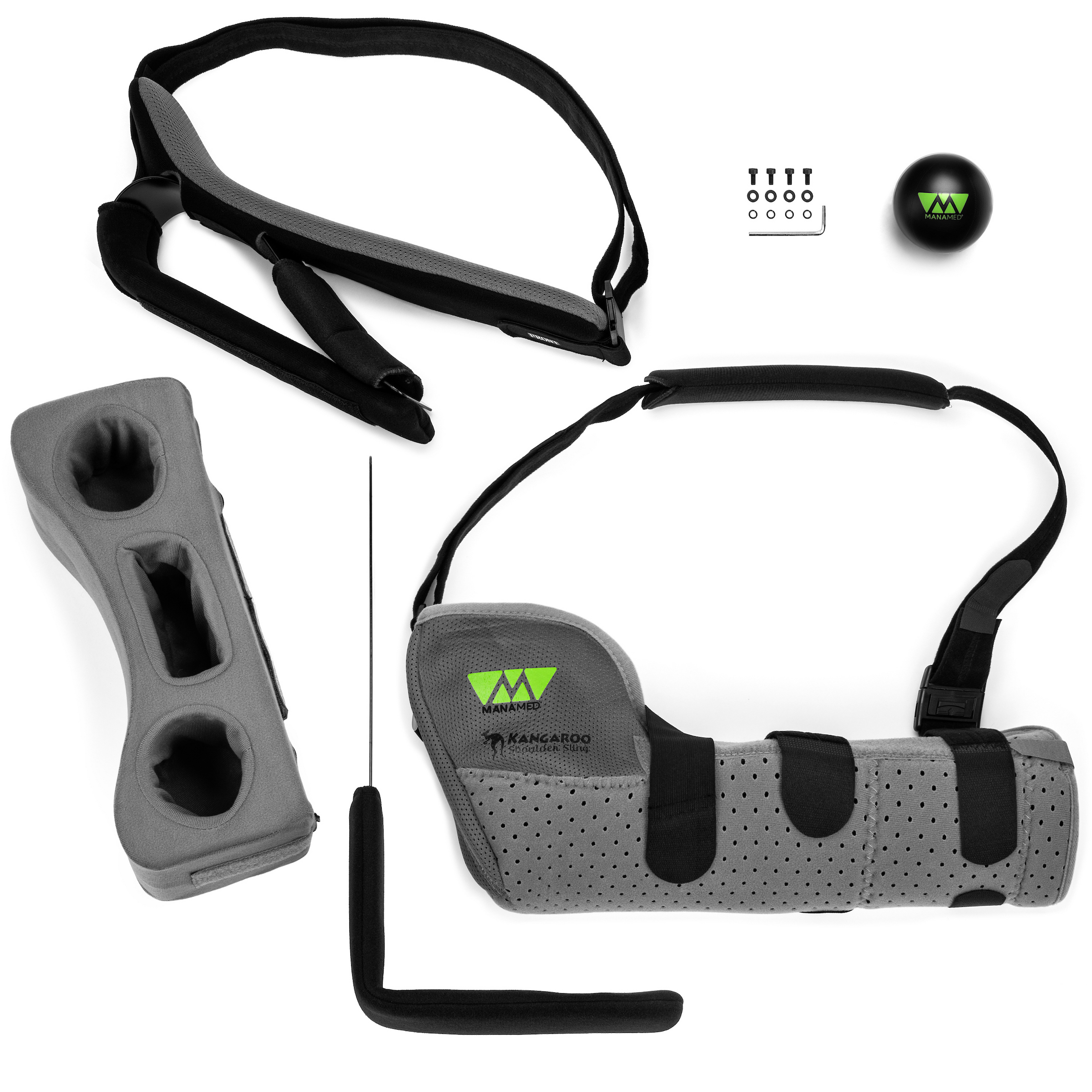 Image of Kangaroo 3960